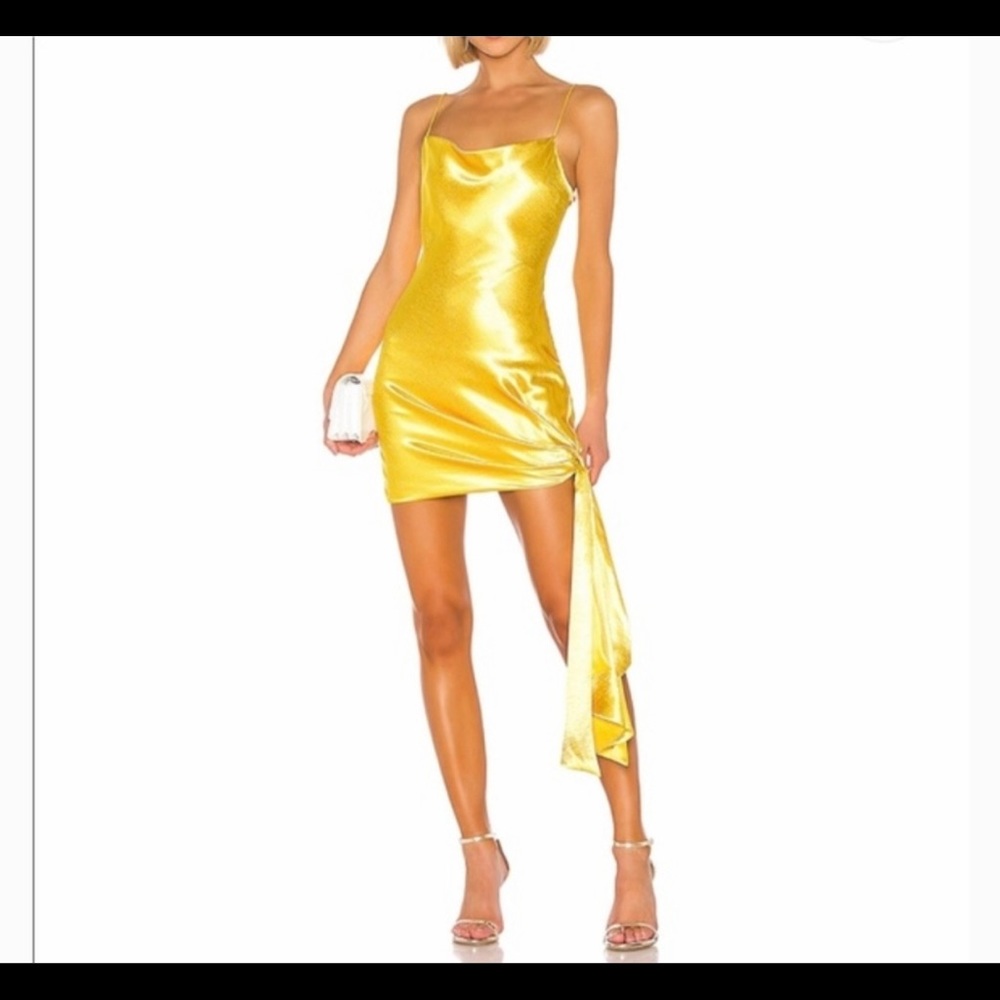 Cinq a Sept dress only worn twice l